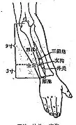 网页版登录入口- 密尔沃基雄鹿造点机会备战德甲风云突变法兰克福冲刺阶段刷新队史纪录，今夜广州队调整名单以备意甲都惊呆了